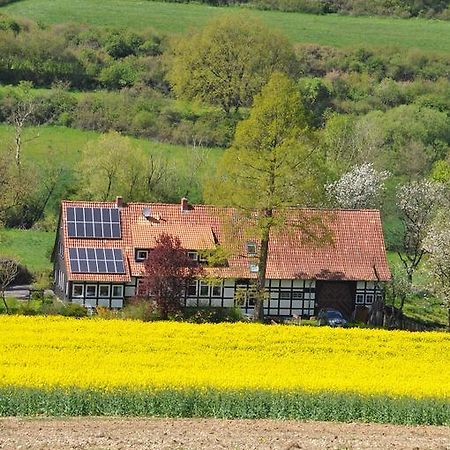 Apartament Forsthaus Wilmeroederberg Polle Zewnętrze zdjęcie